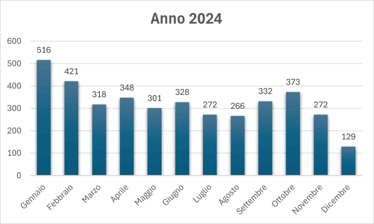Grafico a barre dei dati mensili del 2024.